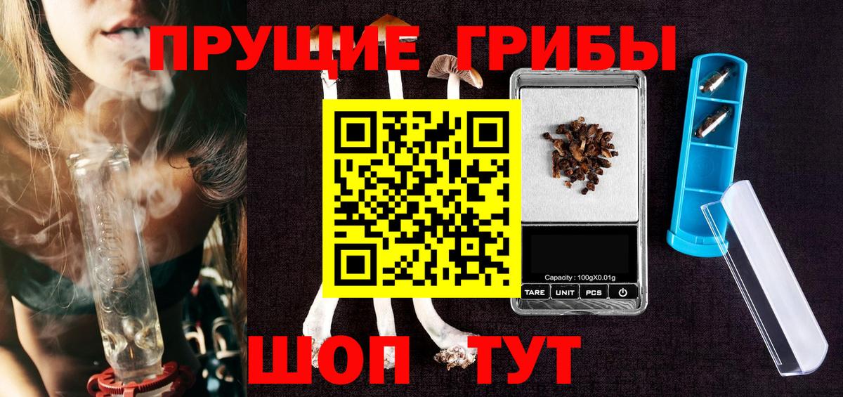 Красногорск  Псилоцибиновые грибы мицелий  Псилоцибиновые грибы Psilocybe  Вход с VPN 